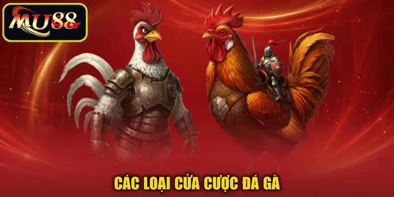 Các loại cửa cược đá gà