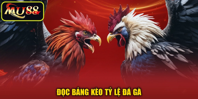 Đọc bảng kèo tỷ lệ đá gà