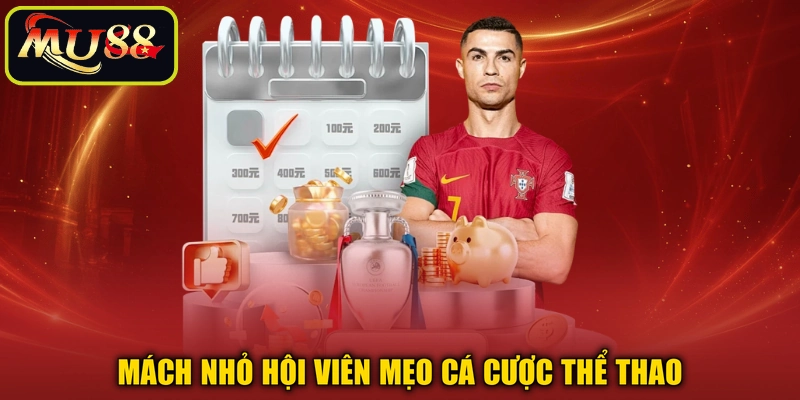 Mách nhỏ hội viên mẹo cá cược thể thao