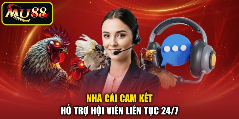 Nhà cái cam kết hỗ trợ hội viên liên tục 24/7