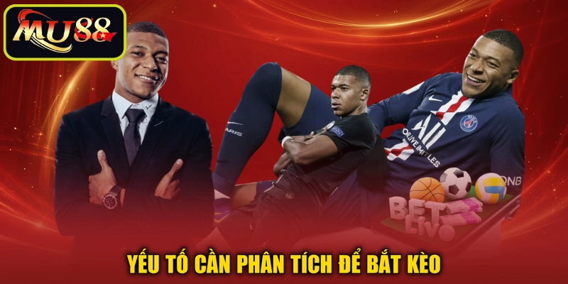Yếu tố cần phân tích để bắt kèo